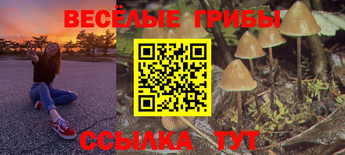 Псилоцибиновые грибы Cubensis Чебоксары