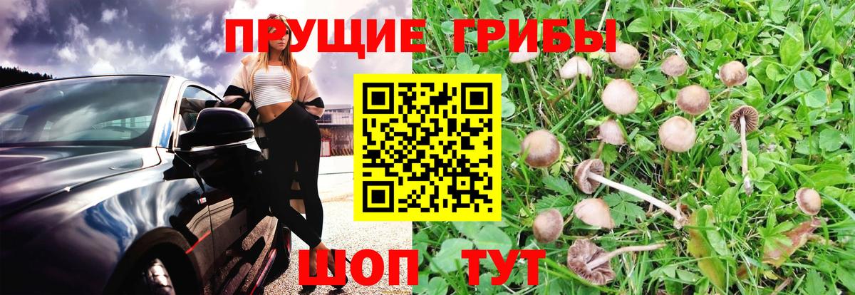 Галлюциногенные грибы Magic Shrooms  Вход с VPN  Чебоксары 