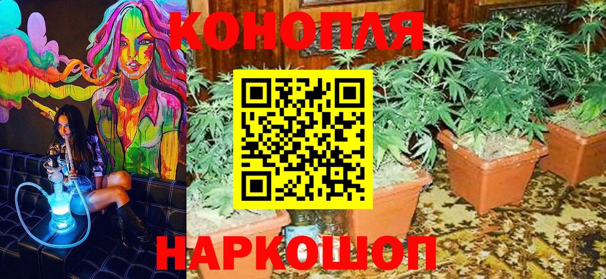 Чебоксары  Бошки Шишки MAZAR  Каннабис ГИДРОПОН  Вход с VPN  Шишки марихуана OG Kush 